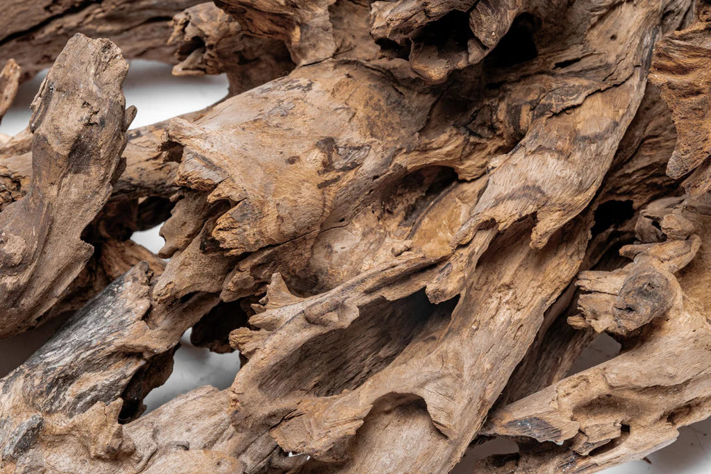 Madra Wood | Signature Aquascape