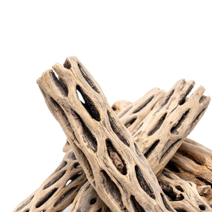 Cholla Driftwood Sticks | Shrimp Approved