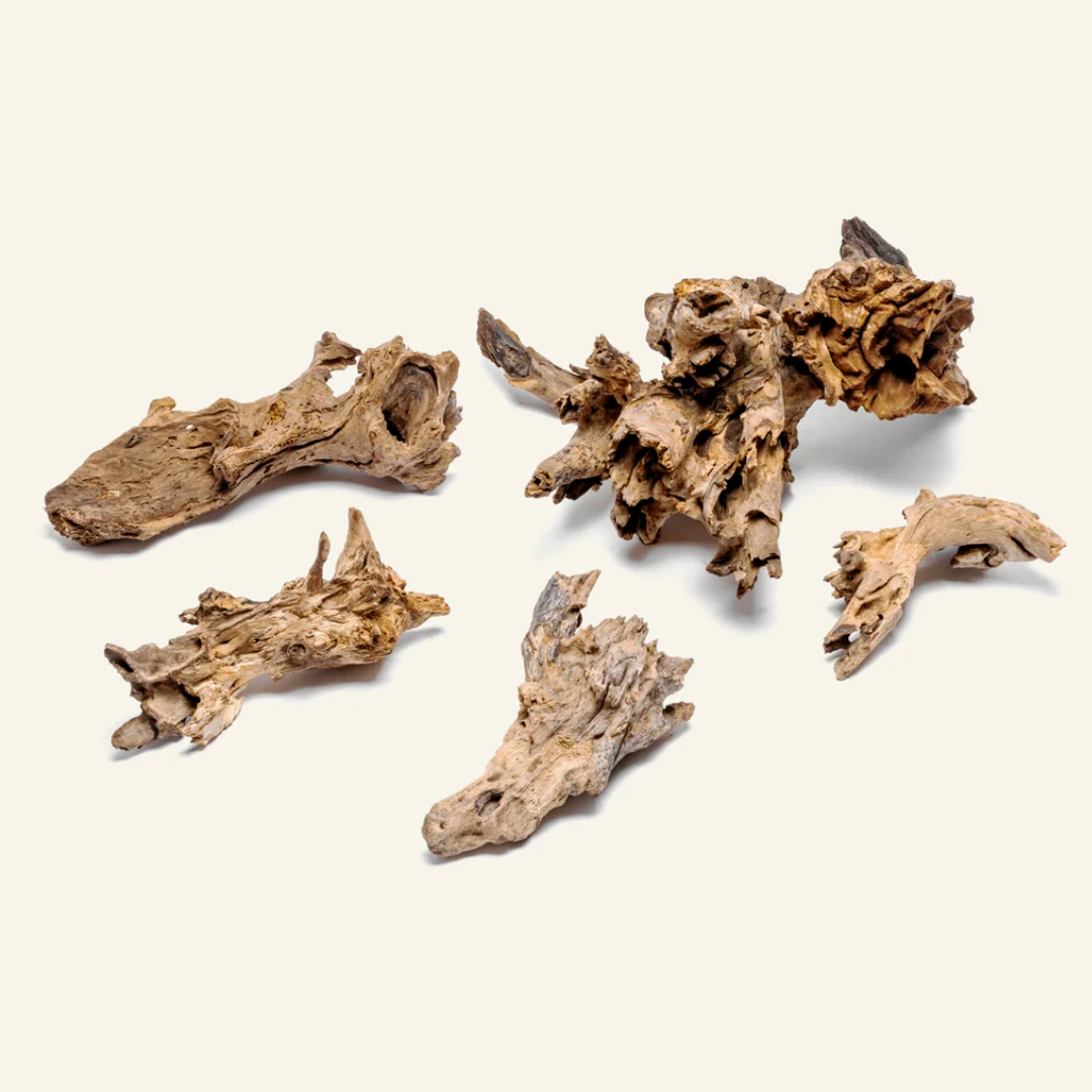 Madra Wood | Signature Aquascape