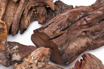 Driftwood Stumps - Extra Small (2–4 Inches)