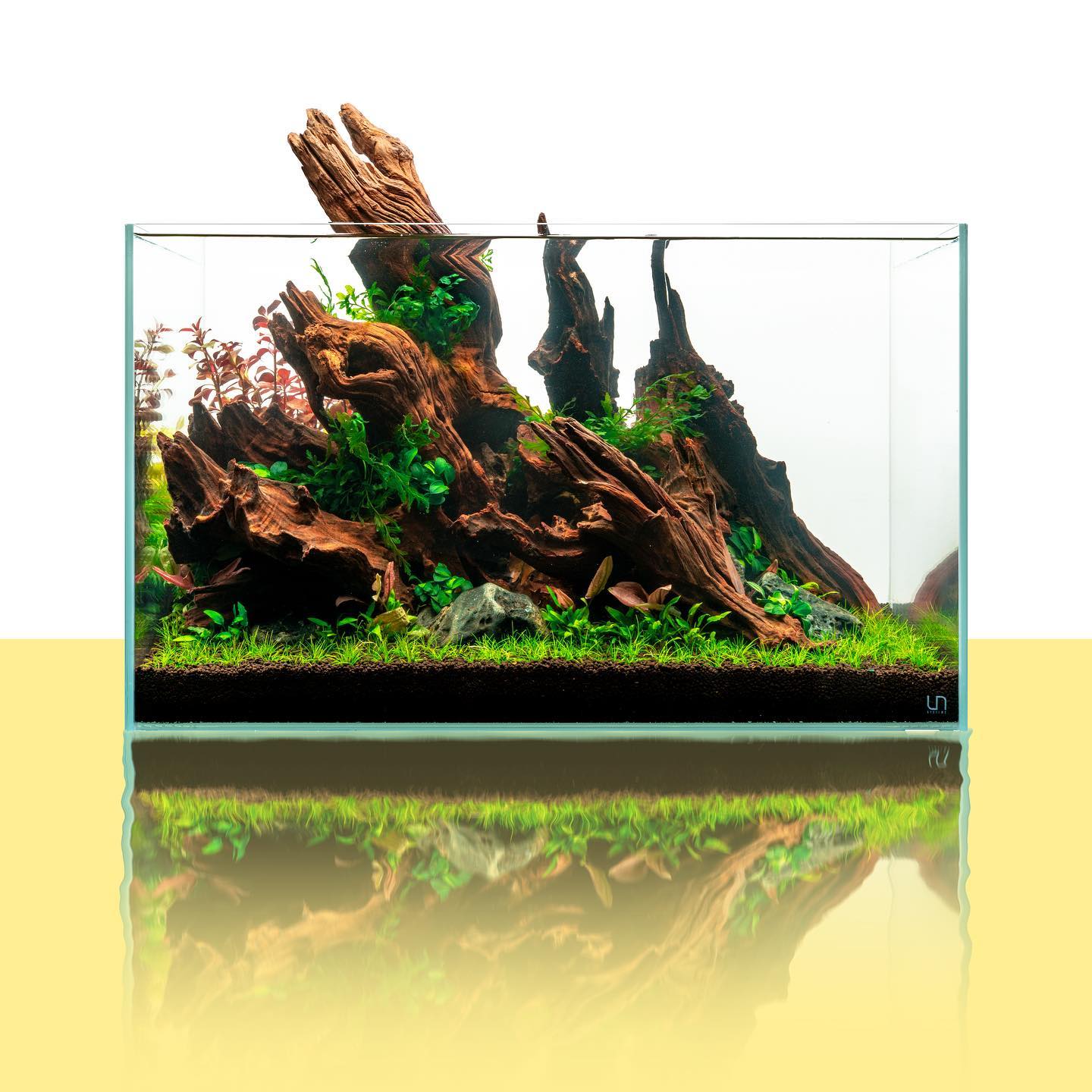 Malaysian Driftwood Aquarium Hardscape