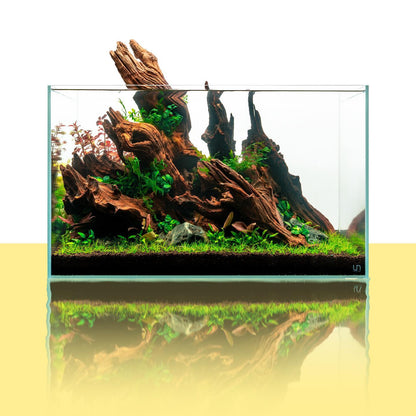 Malaysian Driftwood Aquarium Hardscape