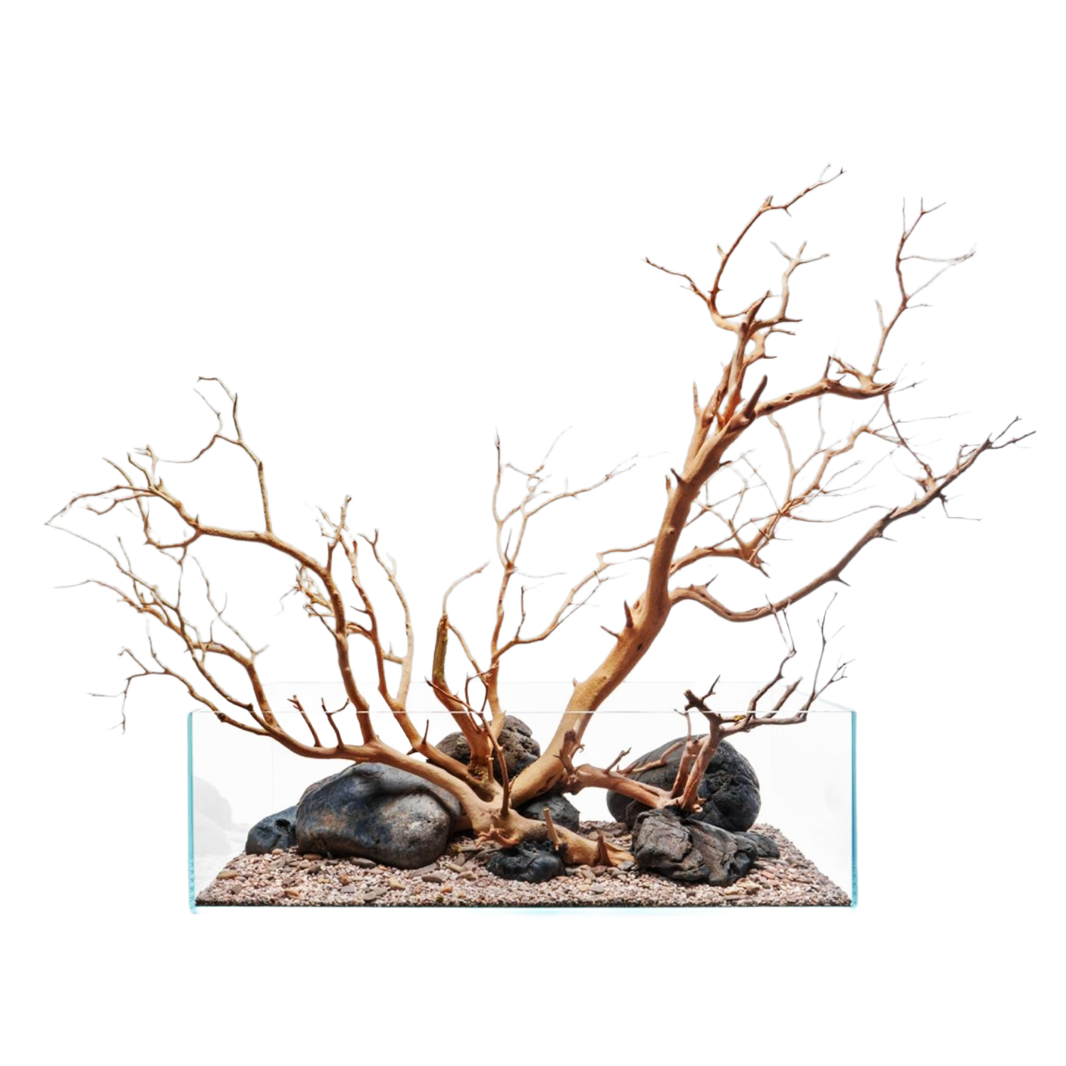 Sandblasted Manzanita Driftwood | Prime Textured Hardscape