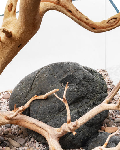 Sandblasted Manzanita Driftwood | Prime Textured Hardscape