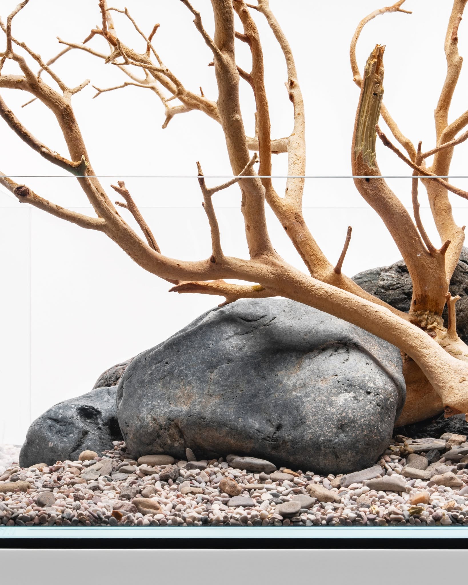 Sandblasted Manzanita Driftwood | Prime Textured Hardscape