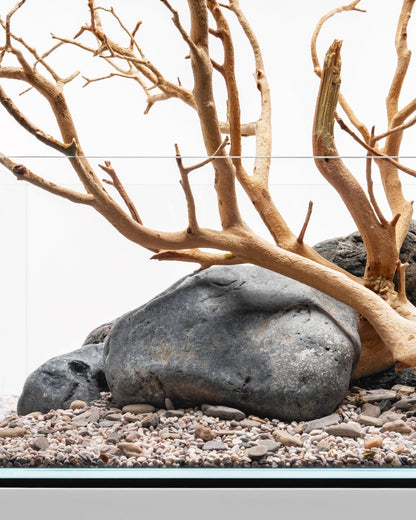 Sandblasted Manzanita Driftwood | Prime Textured Hardscape