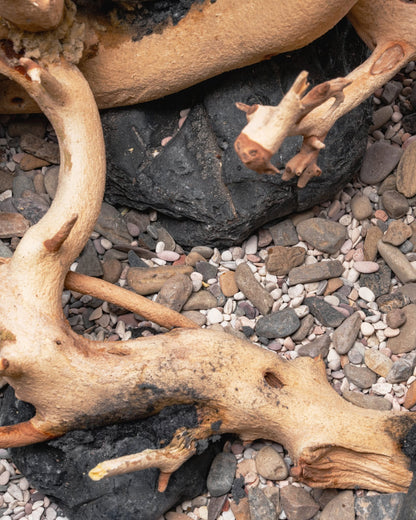 Sandblasted Manzanita Driftwood | Prime Textured Hardscape