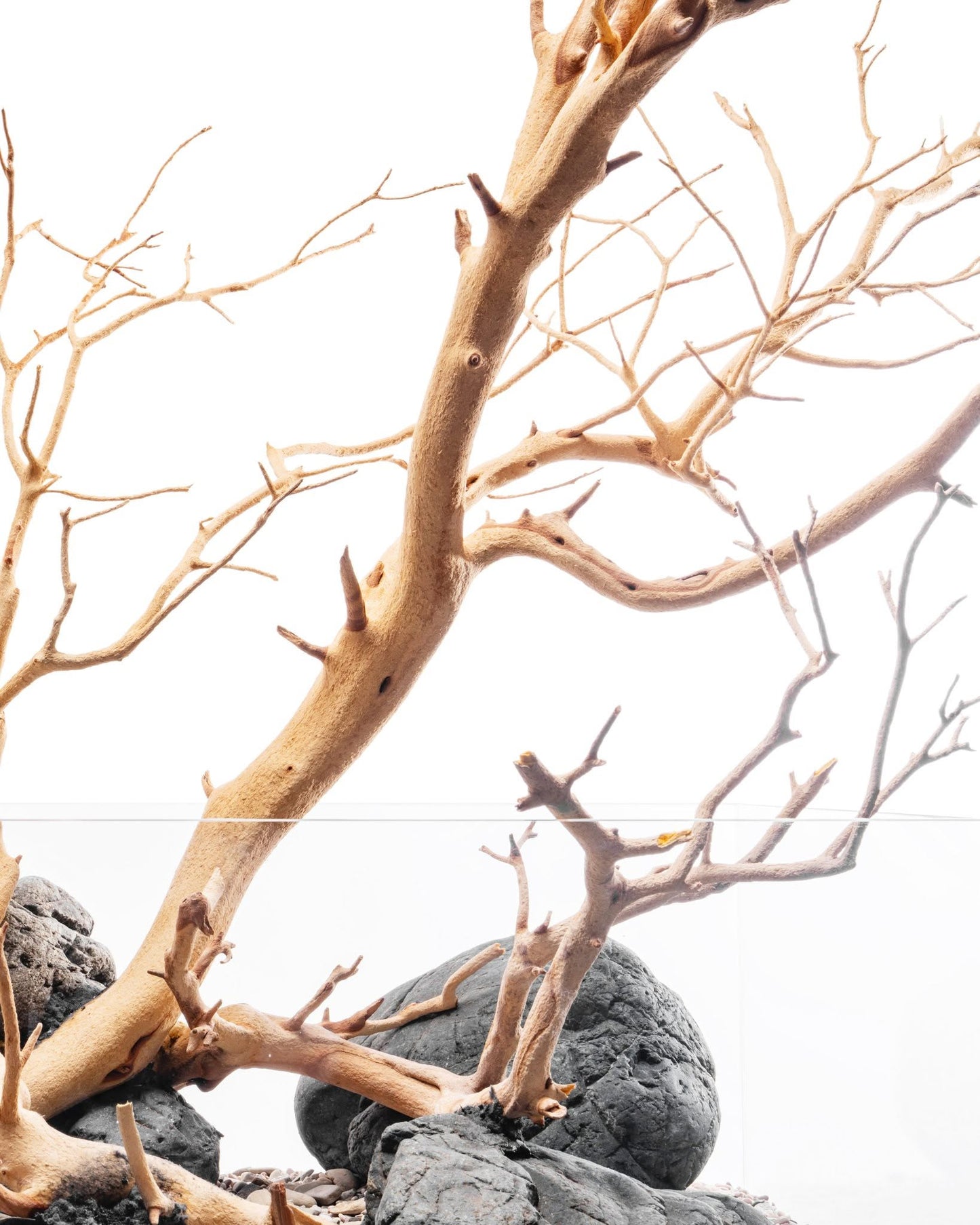 Sandblasted Manzanita Driftwood | Prime Textured Hardscape