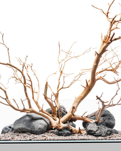 Sandblasted Manzanita Driftwood | Prime Textured Hardscape