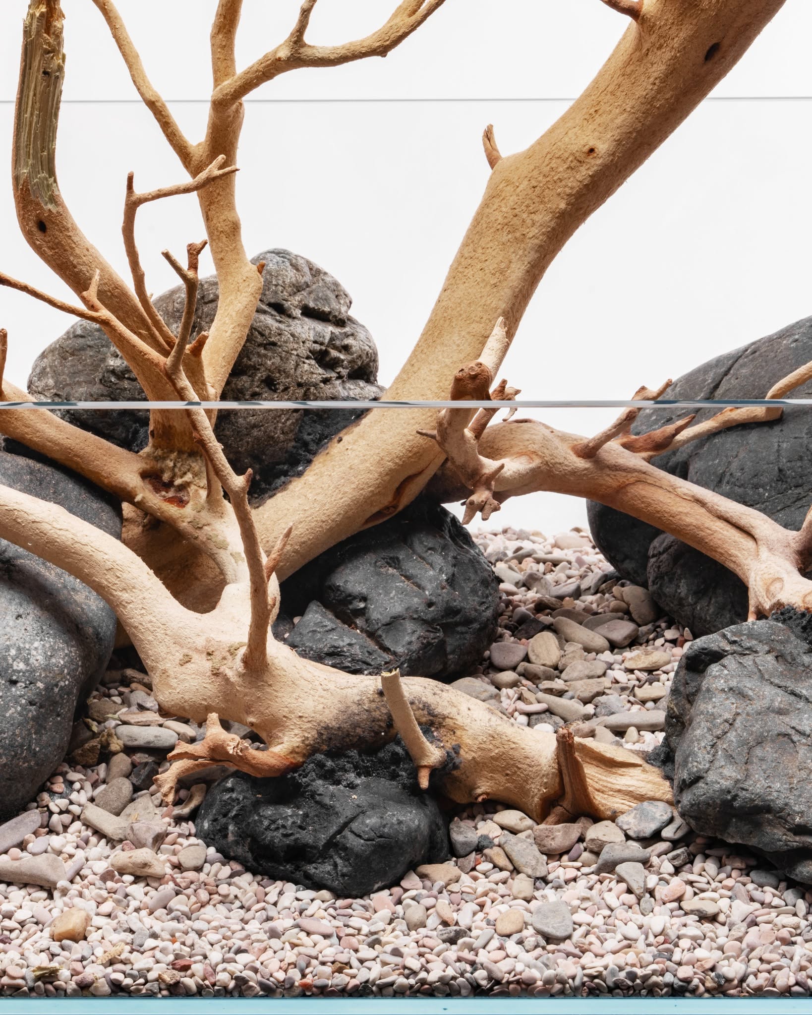 Sandblasted Manzanita Driftwood | Prime Textured Hardscape