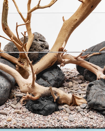 Sandblasted Manzanita Driftwood | Prime Textured Hardscape
